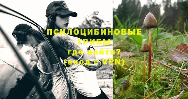 молекула духа Балахна